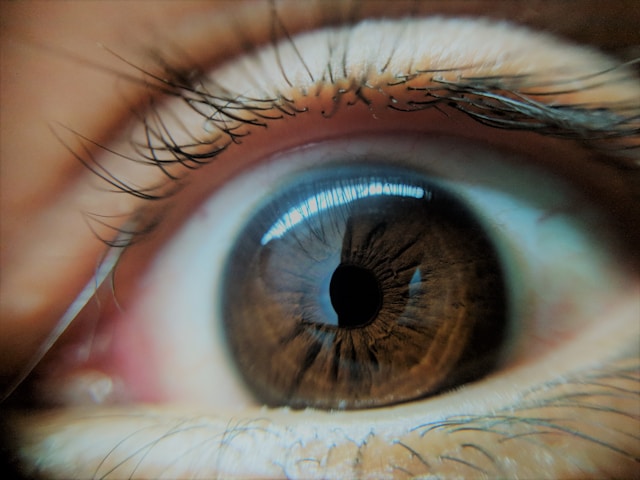 Close-up of a human eye with detailed iris and eyelashes, illustrating eye anatomy possibly related to LASIK surgery in Delhi.